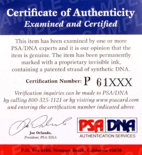 Gabi Garcia potpisana MMA rukavica PSA / DNK BJJ Rizin FF 2015 autogram Jiu - Jitsu-autographed UFC rukavice