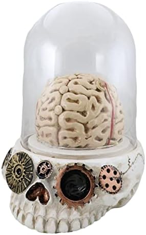 EBROS poklon Steampunk apotekarno jezivo ciborg mjenjač lubanja s izloženim eksperimentalnim mozgom u kloče staklenoj kupoli sa LED svjetlom alhemijskom dekor figurinom okultičkom psihičkom paranormalnom