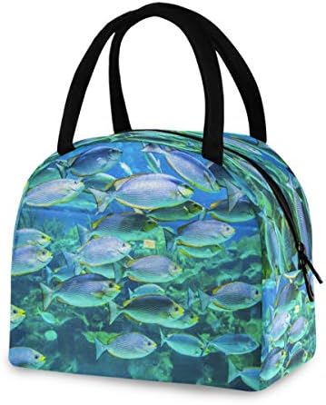 YYZZH tropske ribe Podvodna morska morska života izolovana patentna torba za ručak Cooler Meal Prep torba za ručak kutija za ručak torba za odrasle muškarce žene ured kućne škole na otvorenom