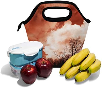 HEOEH Red Sky Tree Sunsown torba za ručak Cooler Tote Bag izolovana kutija za ručak sa patentnim zatvaračem torba za školski ured na otvorenom